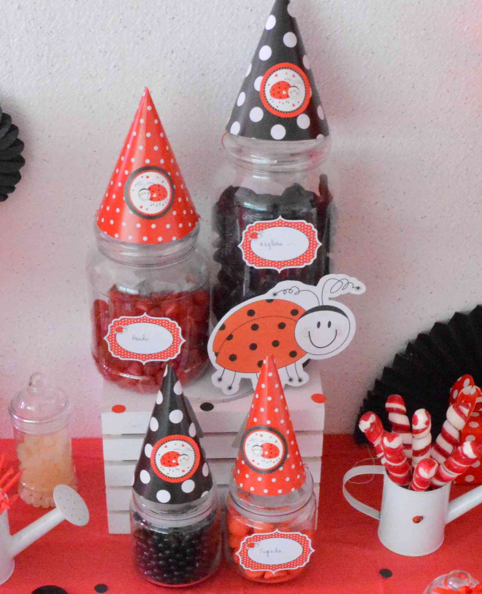 Anniversaire Decoration Theme Coccinelle Petite Fille Deux Ans Rouge Et Noir