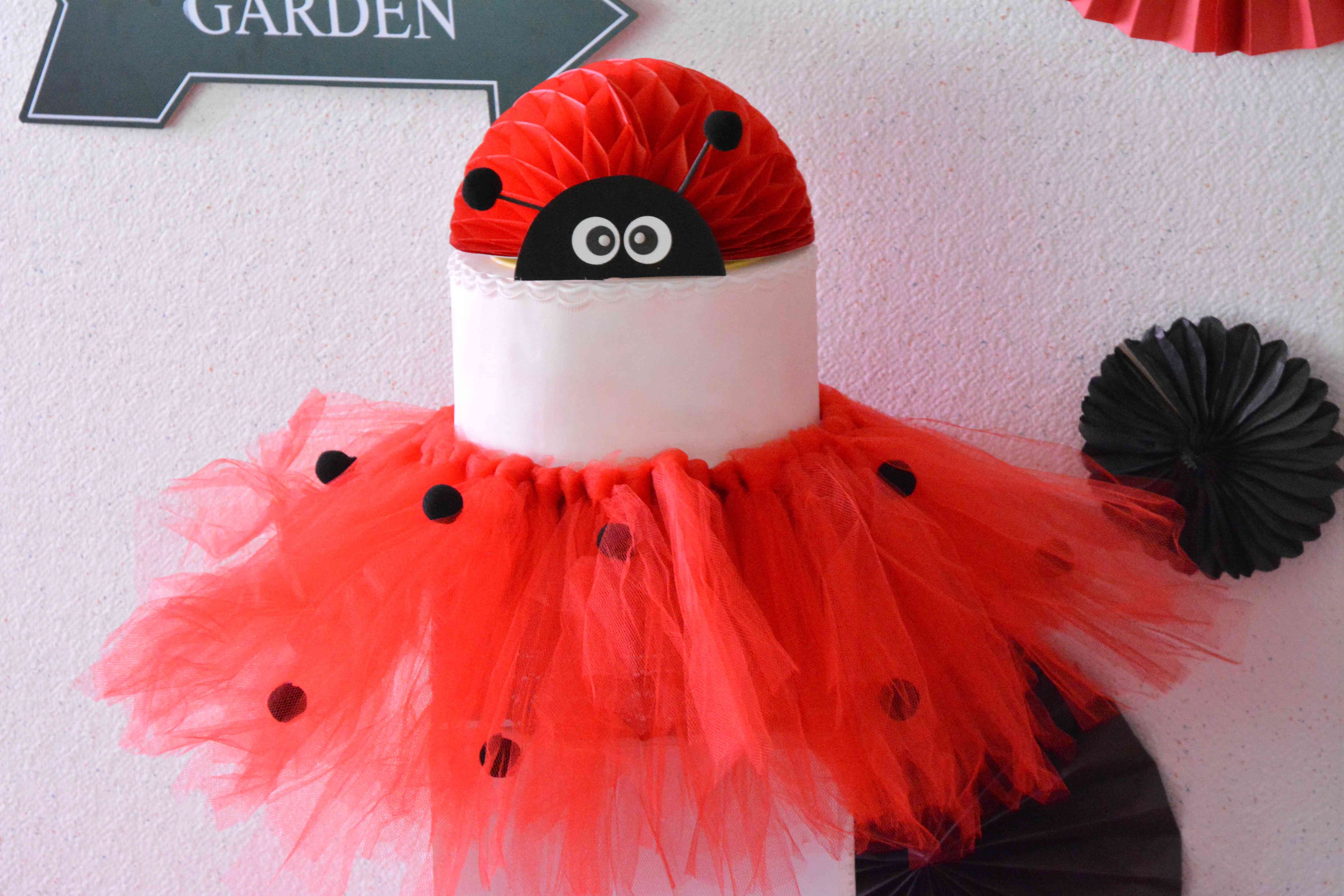 Anniversaire Decoration Theme Coccinelle Petite Fille Deux Ans Rouge Et Noir