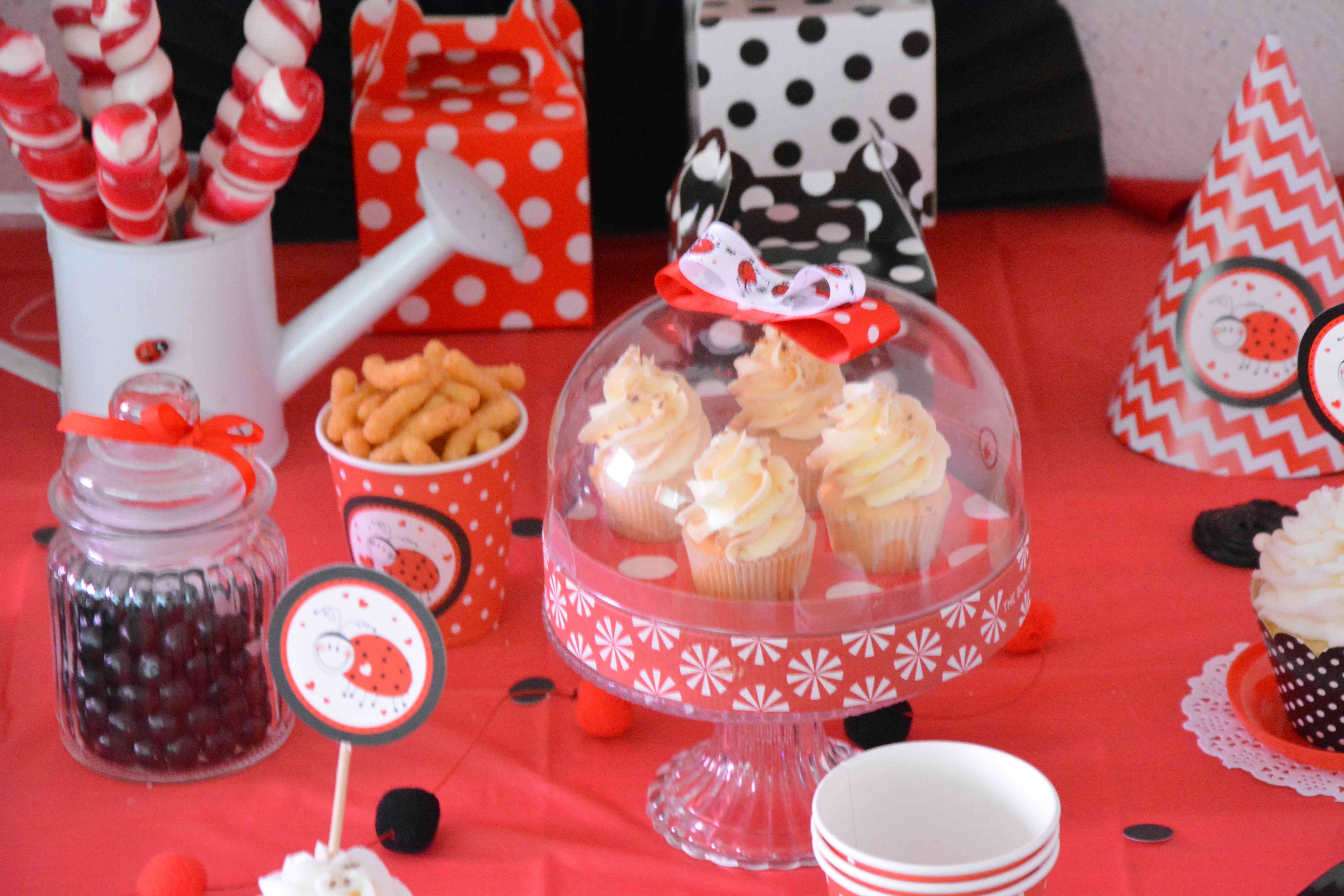 Anniversaire Decoration Theme Coccinelle Petite Fille Deux Ans Rouge Et Noir